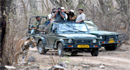 Jungle Safari In Ranthambhore National Park